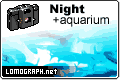 Night +aquarium